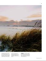 dagbladet_sondag-20080406_000_00_00_007.pdf