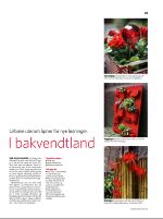 dagbladet_sondag-20080511_000_00_00_023.pdf