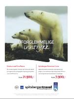 dagbladet_sondag-20080518_000_00_00_007.pdf