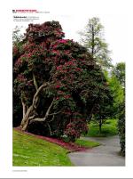 dagbladet_sondag-20080608_000_00_00_010.pdf