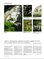 dagbladet_sondag-20080608_000_00_00_014.pdf