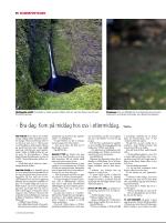 dagbladet_sondag-20080615_000_00_00_014.pdf