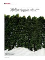 dagbladet_sondag-20080622_000_00_00_018.pdf