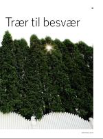 dagbladet_sondag-20080622_000_00_00_019.pdf