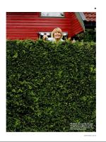 dagbladet_sondag-20080622_000_00_00_021.pdf