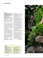 dagbladet_sondag-20080622_000_00_00_024.pdf