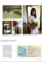 dagbladet_sondag-20080629_000_00_00_031.pdf