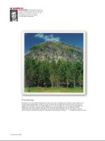 dagbladet_sondag-20080629_000_00_00_032.pdf