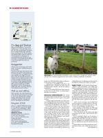 dagbladet_sondag-20080713_000_00_00_014.pdf