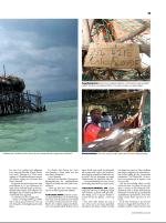 dagbladet_sondag-20080720_000_00_00_013.pdf