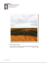 dagbladet_sondag-20080720_000_00_00_032.pdf