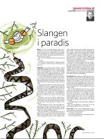 dagbladet_sondag-20080720_000_00_00_039.pdf