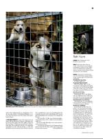 dagbladet_sondag-20080727_000_00_00_031.pdf