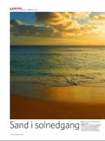 dagbladet_sondag-20080907_000_00_00_006.pdf