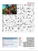 dagbladet_sondag-20080907_000_00_00_043.pdf