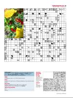 dagbladet_sondag-20080921_000_00_00_043.pdf