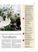 dagbladet_sondag-20081026_000_00_00_011.pdf
