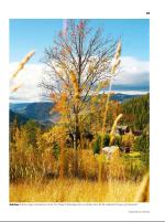 dagbladet_sondag-20081026_000_00_00_023.pdf