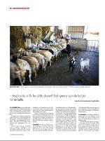 dagbladet_sondag-20081116_000_00_00_014.pdf