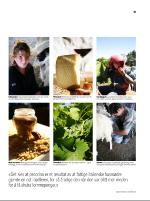 dagbladet_sondag-20081116_000_00_00_015.pdf