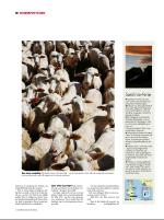 dagbladet_sondag-20081116_000_00_00_018.pdf