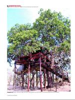 dagbladet_sondag-20081130_000_00_00_010.pdf