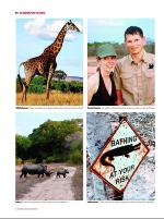 dagbladet_sondag-20081130_000_00_00_014.pdf