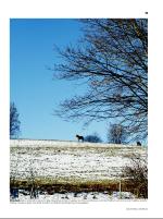 dagbladet_sondag-20081221_000_00_00_013.pdf