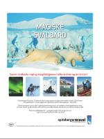 dagbladet_sondag-20081228_000_00_00_007.pdf