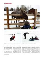 dagbladet_sondag-20090329_000_00_00_018.pdf