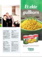 dagbladet_sondag-20090329_000_00_00_029.pdf