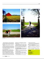 dagbladet_sondag-20090405_000_00_00_049.pdf