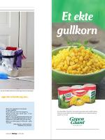 dagbladet_sondag-20090419_000_00_00_019.pdf