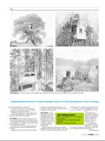 dagbladet_sondag-20090419_000_00_00_032.pdf