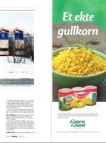 dagbladet_sondag-20090426_000_00_00_013.pdf