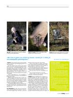 dagbladet_sondag-20090503_000_00_00_014.pdf