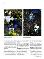 dagbladet_sondag-20090503_000_00_00_016.pdf