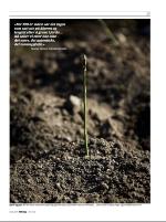 dagbladet_sondag-20090503_000_00_00_017.pdf