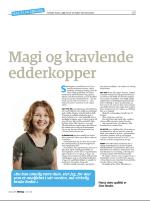 dagbladet_sondag-20090503_000_00_00_047.pdf