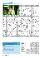 dagbladet_sondag-20090705_000_00_00_045.pdf