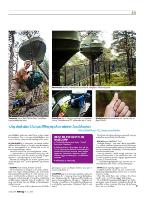 dagbladet_sondag-20090719_000_00_00_039.pdf