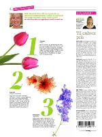 dagbladet_sondag-20090726_000_00_00_004.pdf