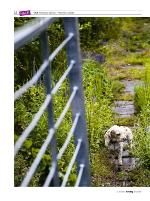 dagbladet_sondag-20090726_000_00_00_012.pdf