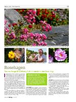 dagbladet_sondag-20090726_000_00_00_019.pdf