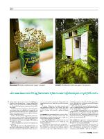 dagbladet_sondag-20090816_000_00_00_030.pdf