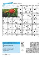 dagbladet_sondag-20090830_000_00_00_053.pdf