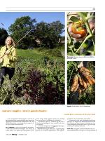 dagbladet_sondag-20090920_000_00_00_015.pdf