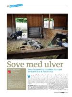dagbladet_sondag-20090927_000_00_00_042.pdf