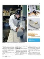 dagbladet_sondag-20091004_000_00_00_015.pdf