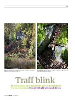 dagbladet_sondag-20091004_000_00_00_021.pdf